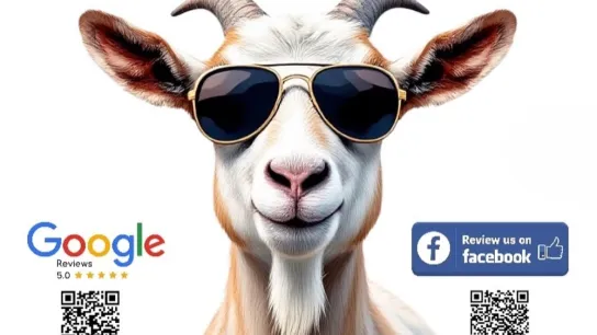 Why Your Reviews Mean the World to Us