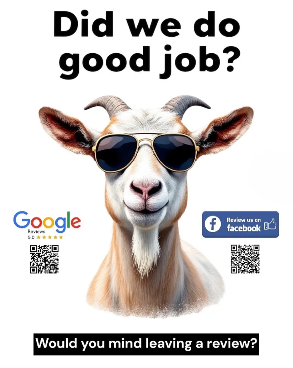 Why Your Reviews Mean the World to Us